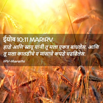 Picture 02 - ईयोब 10:11 MARIRV - हाडे आणि स्नायू - Bible Verse Picture