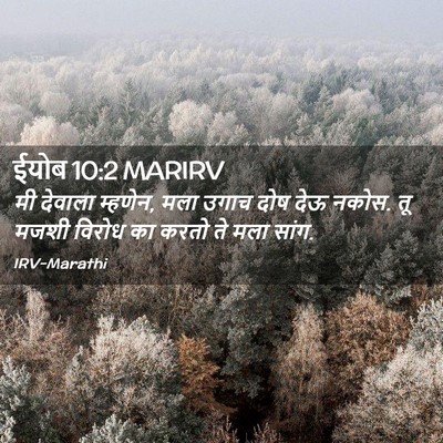 Picture 02 - ईयोब 10:2 MARIRV - मी देवाला म्हणेन, - Bible Verse Picture