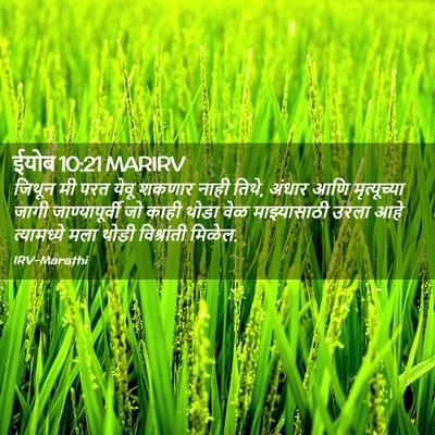 Picture 02 - ईयोब 10:21 MARIRV - जिथून मी परत येवू - Bible Verse Picture