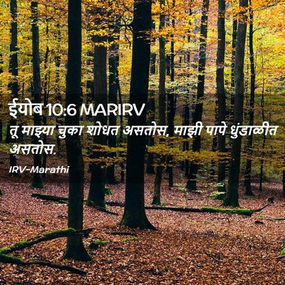 Picture 02 - ईयोब 10:6 MARIRV - तू माझ्या चुका - Bible Verse Picture