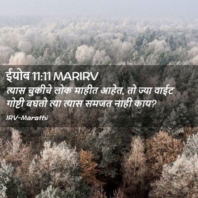 Picture 02 - ईयोब 11:11 MARIRV - त्यास चुकीचे लोक - Bible Verse Picture