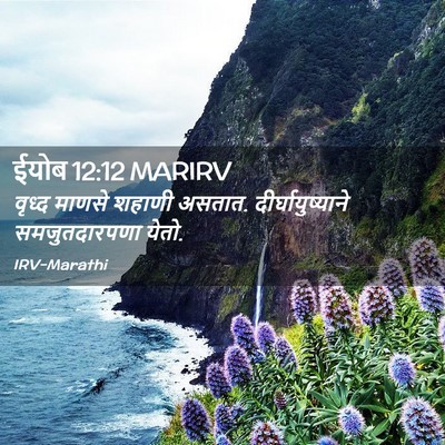 Picture 02 - ईयोब 12:12 MARIRV - वृध्द माणसे शहाणी - Bible Verse Picture