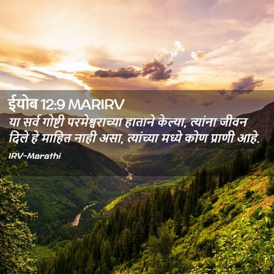 Picture 02 - ईयोब 12:9 MARIRV - या सर्व गोष्टी - Bible Verse Picture