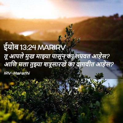 Picture 02 - ईयोब 13:24 MARIRV - तू आपले मुख माझ्या - Bible Verse Picture