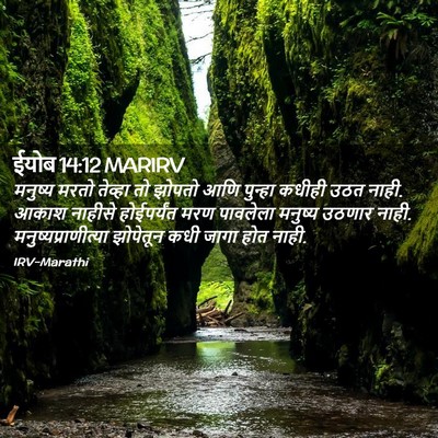 Picture 02 - ईयोब 14:12 MARIRV - मनुष्य मरतो - Bible Verse Picture