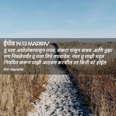Picture 02 - ईयोब 14:13 MARIRV - तू मला - Bible Verse Picture