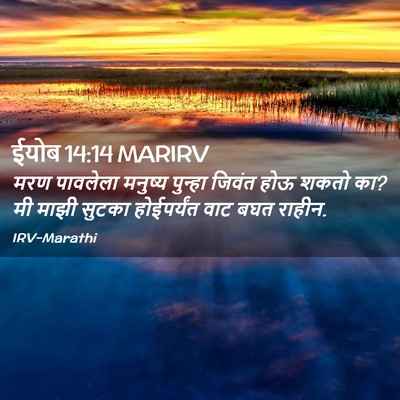 Picture 02 - ईयोब 14:14 MARIRV - मरण पावलेला - Bible Verse Picture
