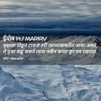 Picture 02 - ईयोब 14:7 MARIRV - वृक्षाला तोडून - Bible Verse Picture