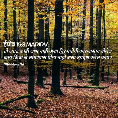 Picture 02 - ईयोब 15:3 MARIRV - तो ज्यात काही लाभ - Bible Verse Picture