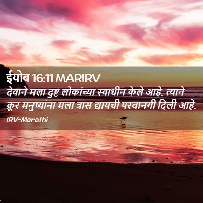 Picture 02 - ईयोब 16:11 MARIRV - देवाने मला दुष्ट - Bible Verse Picture