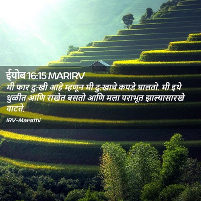 Picture 02 - ईयोब 16:15 MARIRV - मी फार दु:खी आहे - Bible Verse Picture