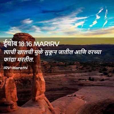 Picture 02 - ईयोब 18:16 MARIRV - त्याची खालची मुळे - Bible Verse Picture