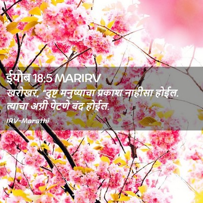 Picture 02 - ईयोब 18:5 MARIRV - खरोखर, “दुष्ट - Bible Verse Picture