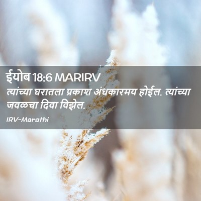 Picture 02 - ईयोब 18:6 MARIRV - त्यांच्या घरातला - Bible Verse Picture