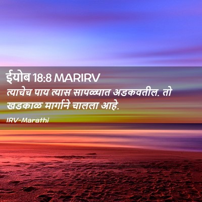 Picture 02 - ईयोब 18:8 MARIRV - त्याचेच पाय त्यास - Bible Verse Picture