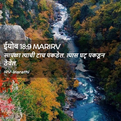 Picture 02 - ईयोब 18:9 MARIRV - सापळा त्याची टाच - Bible Verse Picture