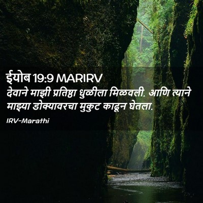 Picture 02 - ईयोब 19:9 MARIRV - देवाने माझी - Bible Verse Picture