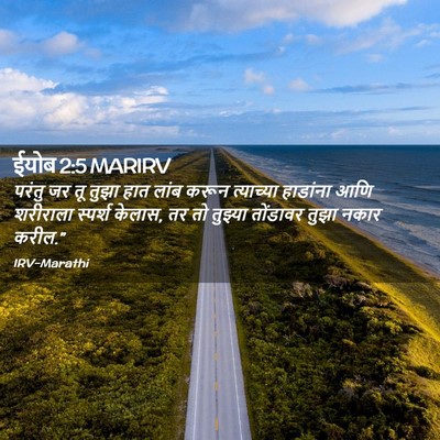Picture 02 - ईयोब 2:5 MARIRV - परंतु जर तू तुझा - Bible Verse Picture