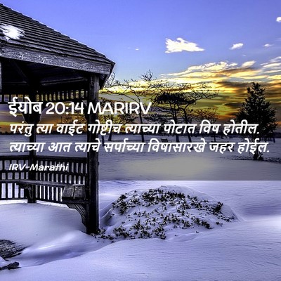 Picture 02 - ईयोब 20:14 MARIRV - परंतु त्या वाईट - Bible Verse Picture