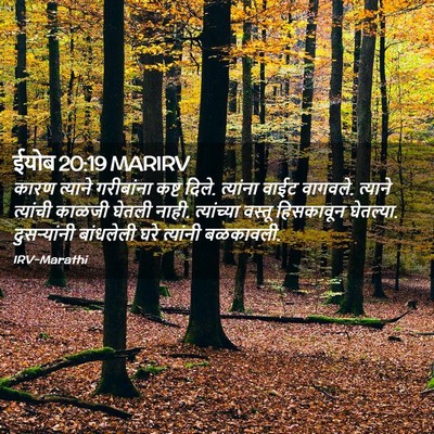 Picture 02 - ईयोब 20:19 MARIRV - कारण त्याने - Bible Verse Picture