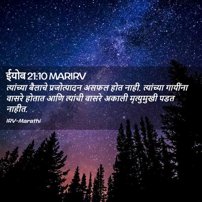 Picture 02 - ईयोब 21:10 MARIRV - त्यांच्या बैलाचे - Bible Verse Picture