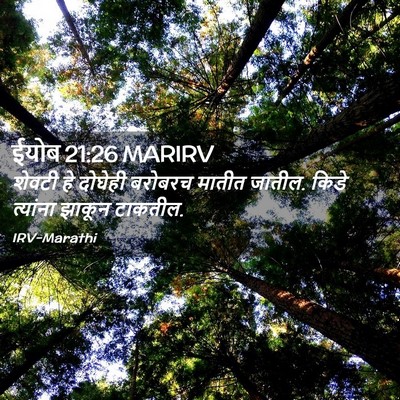 Picture 02 - ईयोब 21:26 MARIRV - शेवटी हे दोघेही - Bible Verse Picture