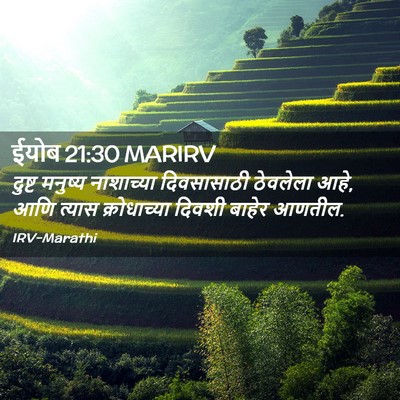 Picture 02 - ईयोब 21:30 MARIRV - दुष्ट मनुष्य - Bible Verse Picture