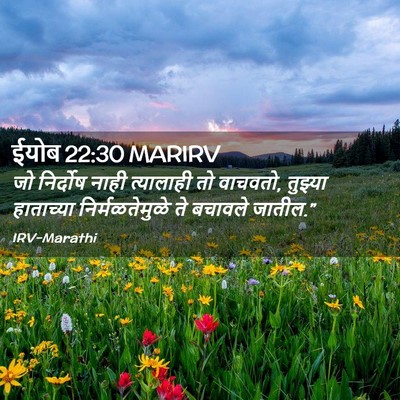 Picture 02 - ईयोब 22:30 MARIRV - जो निर्दोष नाही - Bible Verse Picture