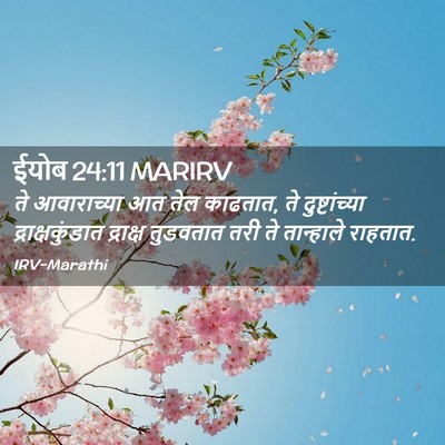 Picture 02 - ईयोब 24:11 MARIRV - ते आवाराच्या आत - Bible Verse Picture