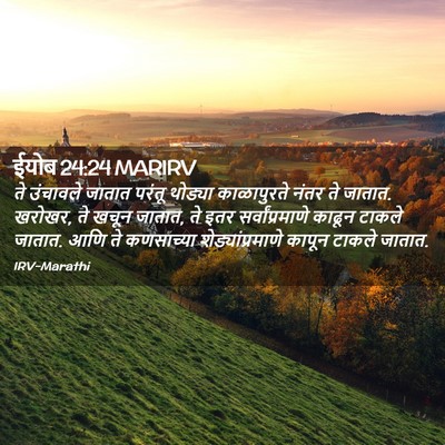 Picture 02 - ईयोब 24:24 MARIRV - ते उंचावले जातात - Bible Verse Picture