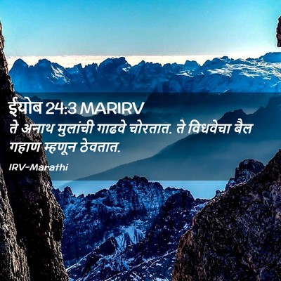 Picture 02 - ईयोब 24:3 MARIRV - ते अनाथ मुलांची - Bible Verse Picture