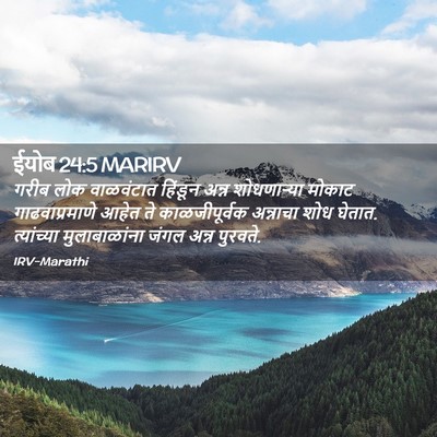 Picture 02 - ईयोब 24:5 MARIRV - गरीब लोक वाळवंटात - Bible Verse Picture