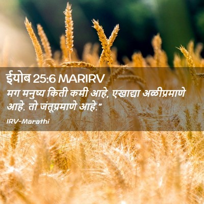 Picture 02 - ईयोब 25:6 MARIRV - मग मनुष्य किती कमी - Bible Verse Picture