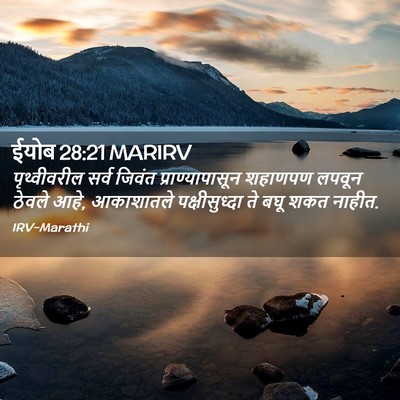 Picture 02 - ईयोब 28:21 MARIRV - पृथ्वीवरील सर्व - Bible Verse Picture