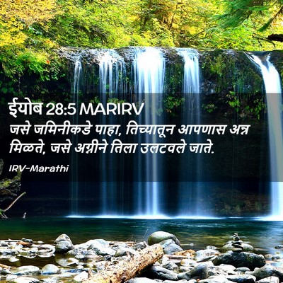 Picture 02 - ईयोब 28:5 MARIRV - जसे जमिनीकडे पाहा, - Bible Verse Picture