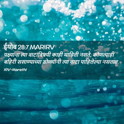 Picture 02 - ईयोब 28:7 MARIRV - पक्ष्यांना त्या - Bible Verse Picture