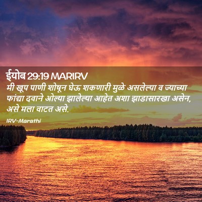 Picture 02 - ईयोब 29:19 MARIRV - मी खूप पाणी शोषून - Bible Verse Picture