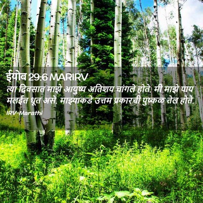 Picture 02 - ईयोब 29:6 MARIRV - त्या दिवसात माझे - Bible Verse Picture