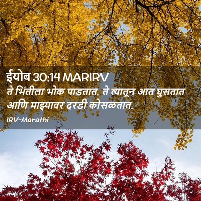 Picture 02 - ईयोब 30:14 MARIRV - ते भिंतीला भोक - Bible Verse Picture