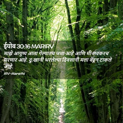 Picture 02 - ईयोब 30:16 MARIRV - माझे आयुष्य आता - Bible Verse Picture