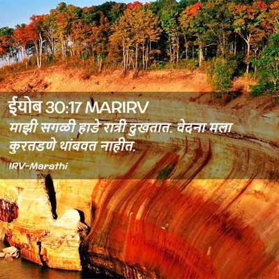 Picture 02 - ईयोब 30:17 MARIRV - माझी सगळी हाडे - Bible Verse Picture