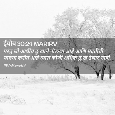 Picture 02 - ईयोब 30:24 MARIRV - परंतु जो आधीच - Bible Verse Picture