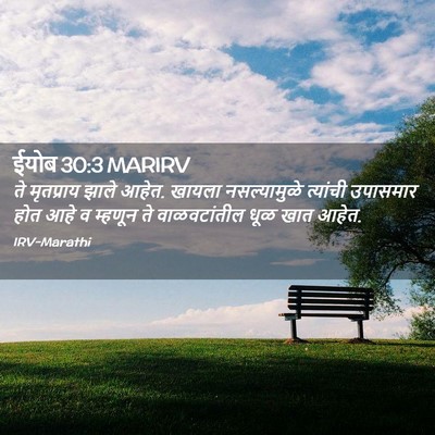 Picture 02 - ईयोब 30:3 MARIRV - ते मृतप्राय झाले - Bible Verse Picture