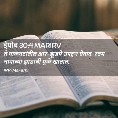 Picture 02 - ईयोब 30:4 MARIRV - ते वाळवटांतील - Bible Verse Picture