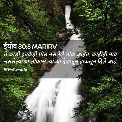 Picture 02 - ईयोब 30:8 MARIRV - ते काडी इतकेही मोल - Bible Verse Picture