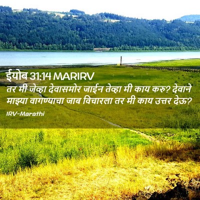 Picture 02 - ईयोब 31:14 MARIRV - तर मी जेव्हा - Bible Verse Picture