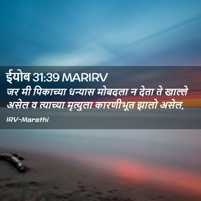 Picture 02 - ईयोब 31:39 MARIRV - जर मी पिकाच्या - Bible Verse Picture