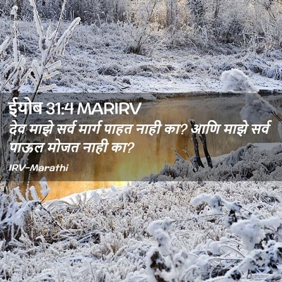 Picture 02 - ईयोब 31:4 MARIRV - देव माझे सर्व - Bible Verse Picture