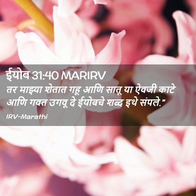 Picture 02 - ईयोब 31:40 MARIRV - तर माझ्या शेतात - Bible Verse Picture