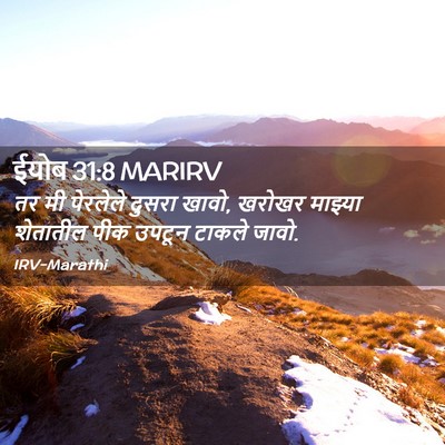 Picture 02 - ईयोब 31:8 MARIRV - तर मी पेरलेले - Bible Verse Picture